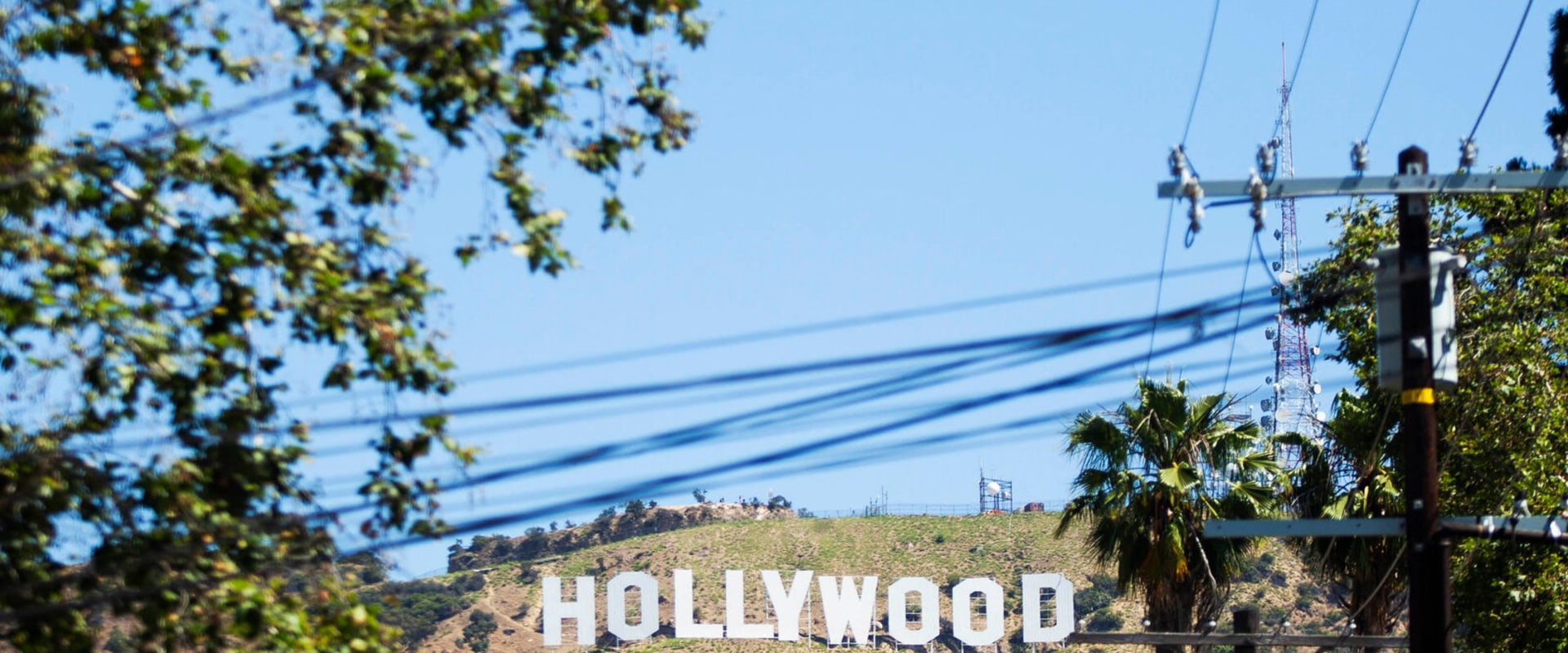 The Impact of Celebrating Local Businesses in Los Angeles County, CA